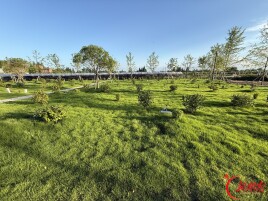 群众“身后事”，省心又暖心——安乡县殡葬改革蹲点见闻