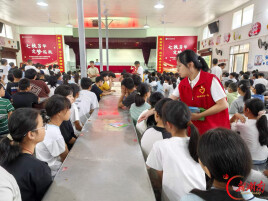 临湘市坦渡镇|深耕“护苗”进校园 清风正气育童心