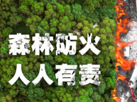 桃源县林业部门扎实开展森林防灭火整兵备战行动