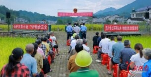 巡回审理非法占用农用地案