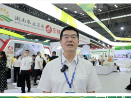 让主食变得更健康 金健米业携留皮米、低GI大米、二酯油亮相中国粮食交易大会