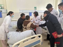 一根银针，扎进雪域高原的根——记湖南省第十批、十一批援藏医疗队成员李双艳