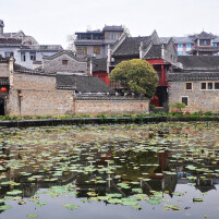 一根带刺的草，开口说话了——不识字的苗家妇女写书的故事@湖南日报要闻