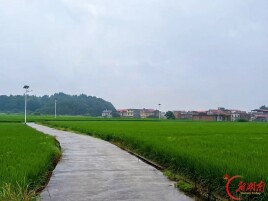 安仁县：以监督力度 提升民生温度