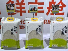 湘粮出湘的“双引擎”答卷！湖南“供港米”“智能箱”惊艳亮相粮交会