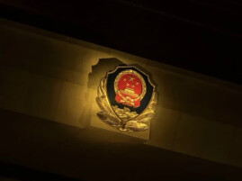 贪图野味，三男子枪杀12只鸟被抓获