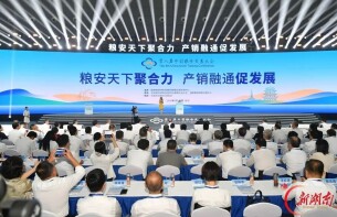 湖南会展集团匠心搭建 助力第八届中国粮食交易大会精彩呈现