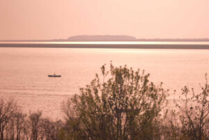 晓庆的组诗丨秘密酿造法