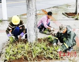 秋雨中“补妆”添彩！衡阳市湘江西岸绿化焕新迎宾朋