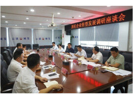 吴国良调研国有企业转型发展工作