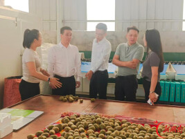 衡东县代表团赴永顺县青坪镇调研对口帮扶工作