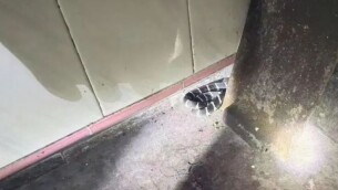 随口一句话，救了他一命！脚上的致命“小红点”险些被忽视