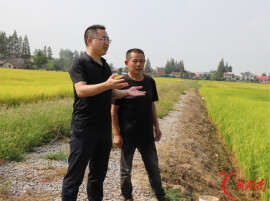 田畴筑梦 实干为民——记第八届湖南省“人民满意的公务员”宁宇