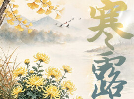 海报丨寒露惊秋晚 朝看菊渐黄