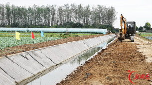 君山区高标准农田建设“加速跑” 秋日管护绘就沃野好“丰”景