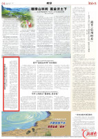 邵阳县惠企政策直达平台建成投用 归集涉企政策64条，效率提升80%