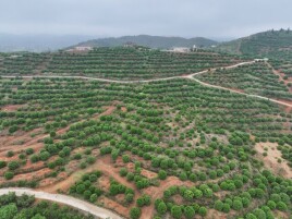 湖南4个系统入选全国重要农业文化遗产名录
