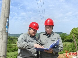 辰溪县供电公司:满格电力护丰收 农网升级助振兴