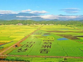 三湘时评丨让农业文化遗产解锁更多乡土可能