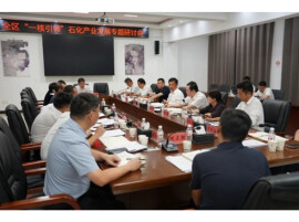 吴国良主持召开云溪区重大项目及“一核引领”工作情况专题调度会