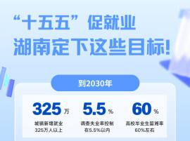 “十五五”促就业，湖南定下这些目标！