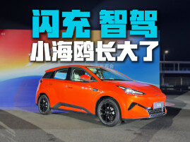 闪充、激光雷达、后驱全都有，第二代海鸥焕新登场