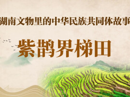 湖南文物里的中华民族共同体故事⑪ | 紫鹊界梯田
