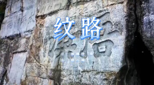 “新境界——文艺与青年”第三届网络文艺短视频展播 |《纹路》