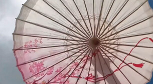 “新境界——文艺与青年”第三届网络文艺短视频展播 |《湘土匠心与青年光亮》
