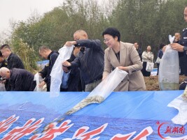 湖南日报｜株洲开展湘江水生生物增殖放流 今年已投放鱼苗520万尾