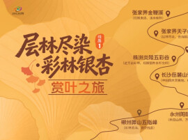 湖南秋天怎么玩？十条秋游线路出炉，还有消费券可领