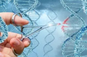 先导编辑首次在人体内“改写”DNA