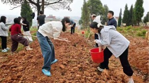 桂阳县东风中学：把劳动课堂搬进田间   以耕读实践书写五育新答卷