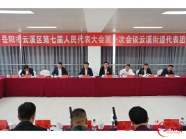 【聚焦两会】吴国良参加云溪街道代表团、长岭街道代表团分团讨论