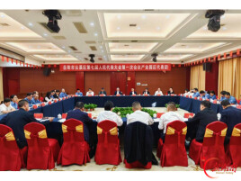 余亚军参加区直机关代表团、路口镇代表团、陆城镇代表团、产业园区代表团分团讨论