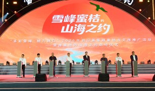 雪峰蜜桔赴山海 绘就振兴新画卷  “多彩雪峰・魅力洞口”雪峰蜜桔农文旅推广活动启幕