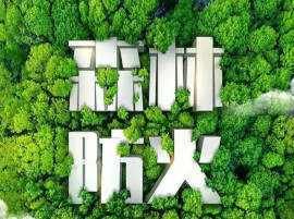 零陵：以“林长制”为抓手筑牢秋季森林防火安全防线