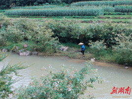 泸溪县小章乡：河道专项治理“智绘”水清岸绿新画卷