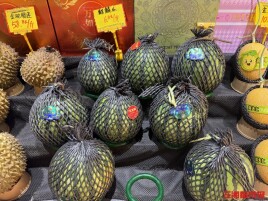 早春西瓜抢鲜上市身价高，买一个要花近百元