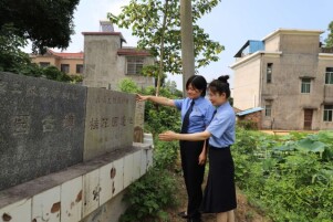 围困它的“敌人”消失了！南县900岁南宋古樟重焕生机