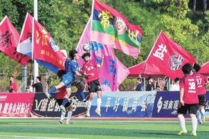 图片新闻：蓝山驰骋绿茵 “足”够精彩 @湖南日报市州版