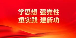 学思想 强党性 重实践 建新功