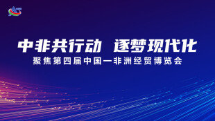 【专题】中非共行动 逐梦现代化——聚焦第四届中国—非洲经贸博览会