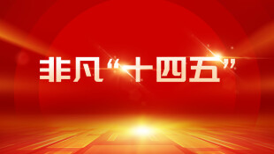 【专题】非凡“十四五” 