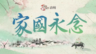 【专题】家国永念——网络中国节·清明