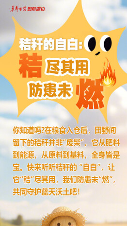 【AI图解】我是一根小秸秆，我不爱“玩火”