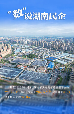 【海報(bào)】“數(shù)”說湖南民企