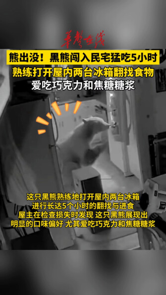 美国黑熊闯入民宅猛吃5小时