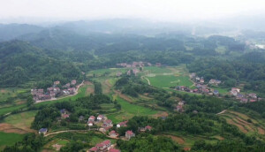 巩固脱贫成果当示范 推进乡村振兴立标杆