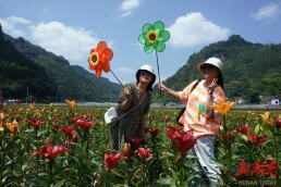 “花样”产业富乡村